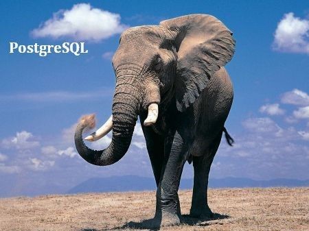 1643.postgres elephant.jpg-1100x19998